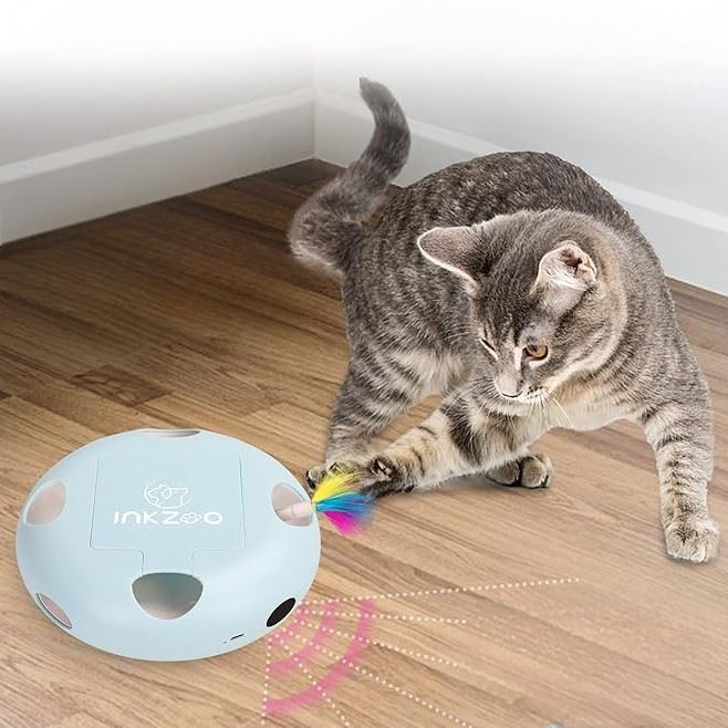 Jeux Pour Chat - PlumeMagique™ - Bleu