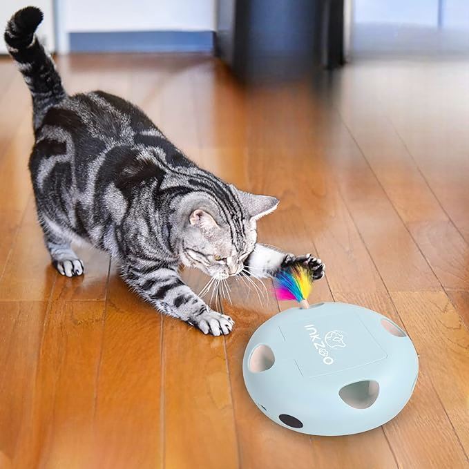 Jeux Pour Chat - PlumeMagique™ - Bleu