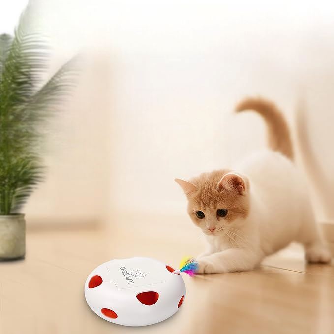 Jeux Pour Chat - PlumeMagique™ - Blanc