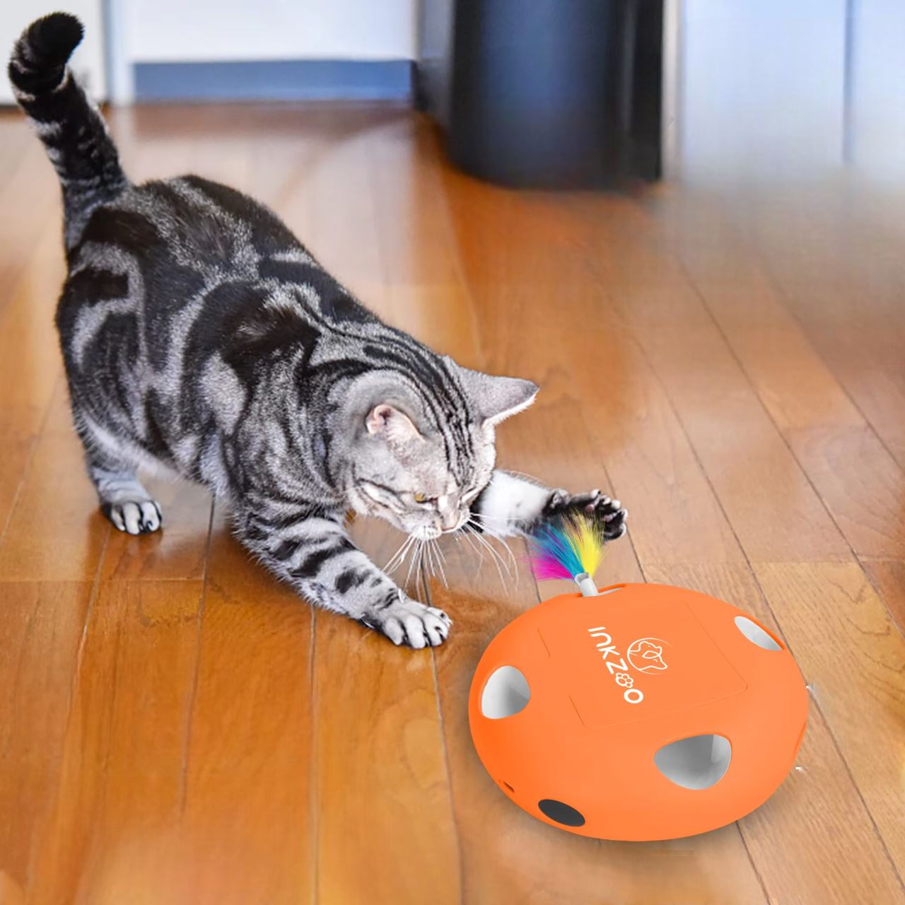 Jeux Pour Chat - PlumeMagique™ - Orange