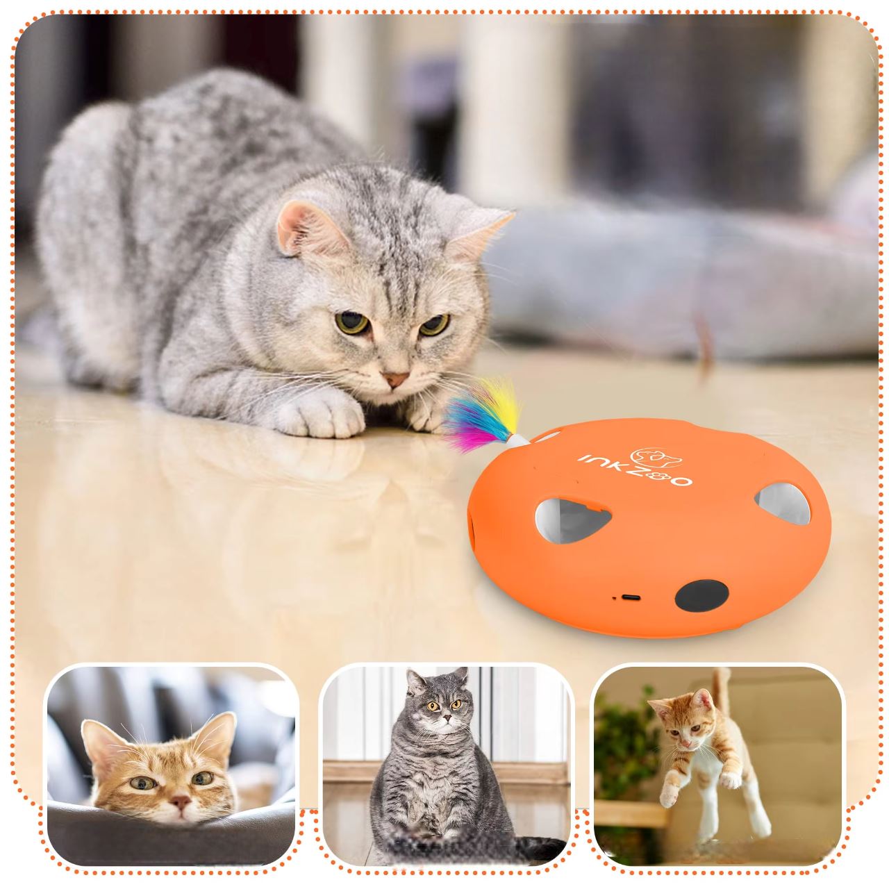 Jeux Pour Chat - PlumeMagique™ - Orange