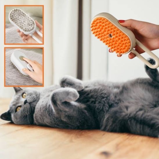 Brosse pour chat