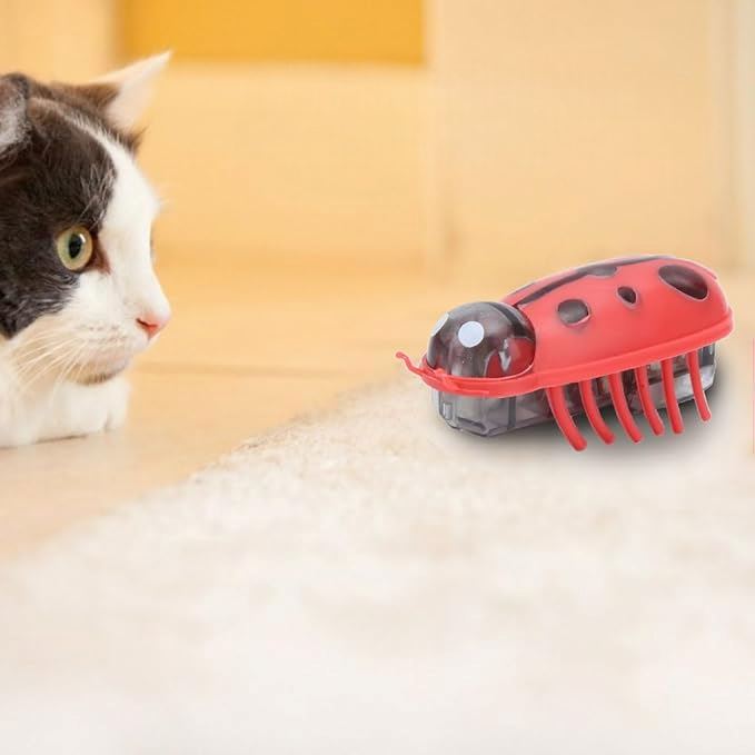 Jouet pour Chat - MiniInsecteToy™- Coccinelles