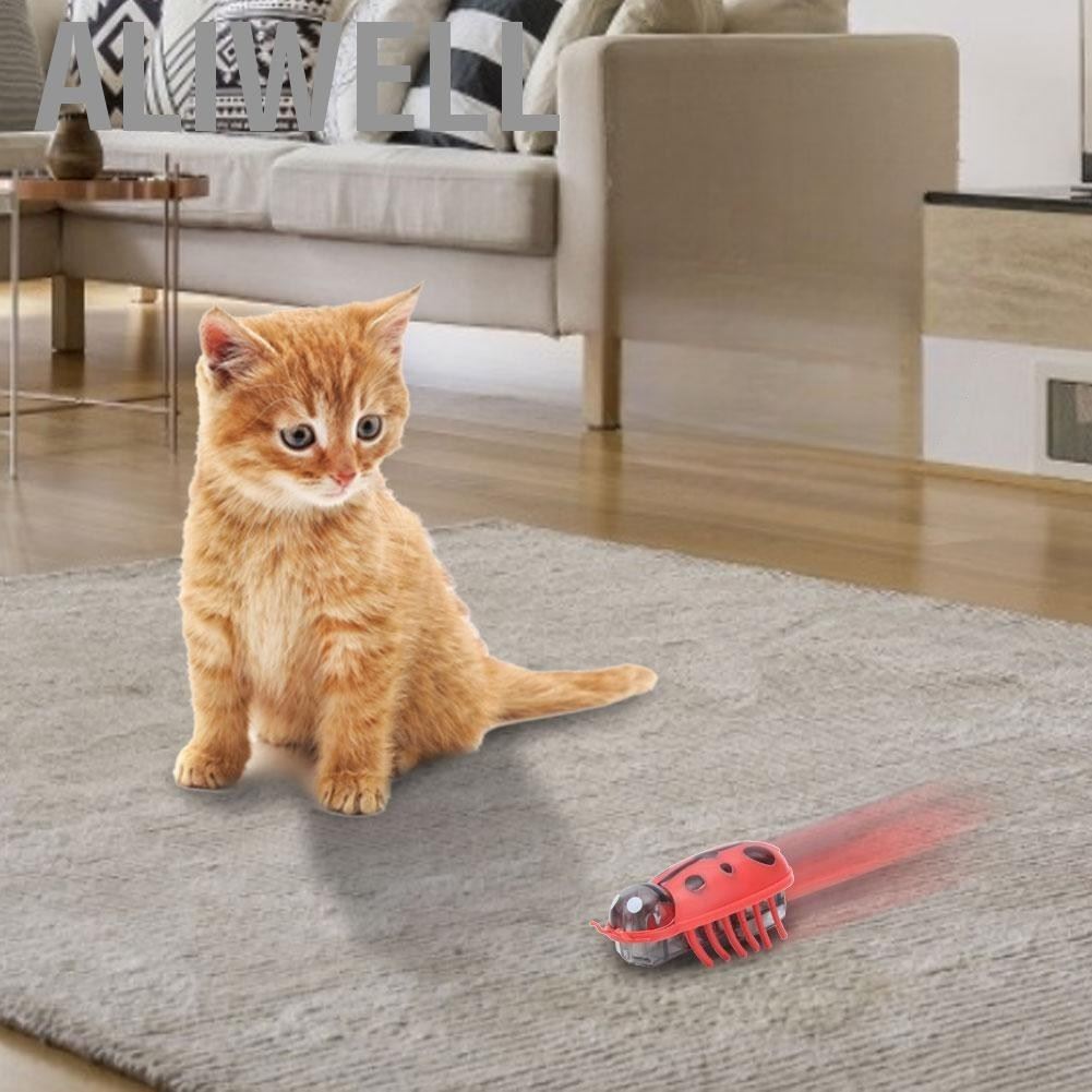 Jouet pour Chat - MiniInsecteToy™- Coccinelles